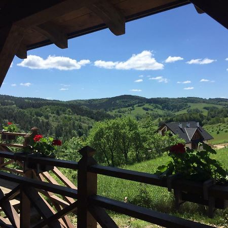 Bialy Wierch Bieszczady Apartment Polanczyk Bagian luar foto