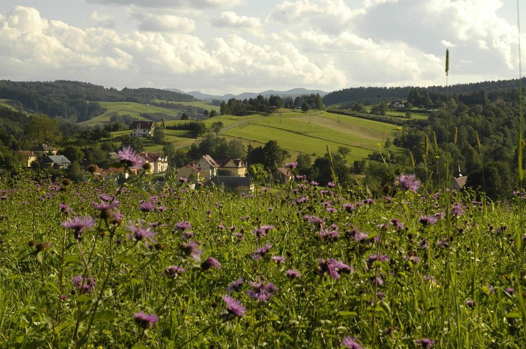 Bialy Wierch Bieszczady Apartment Polanczyk Bagian luar foto