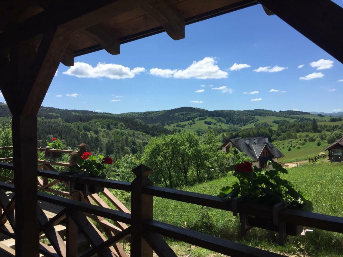 Bialy Wierch Bieszczady Apartment Polanczyk Bagian luar foto